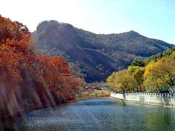 澳门二四六天天彩图库，刘野